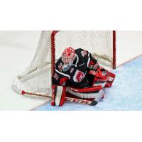 Moose Jaw Warriors Goaltender Zach Sawchenko