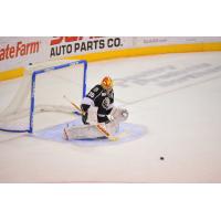 Manchester Monarchs Goaltender Colin Stevens