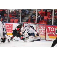 Tri-City Americans Goaltender Nick Sanders Stonewalls the Prince George Cougars