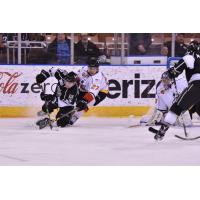 Manchester Monarchs vs. the Adirondack Thunder