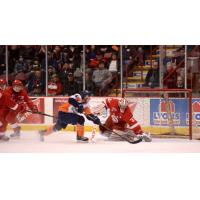 Flint Firebirds Shoot against the Soo Greyhounds