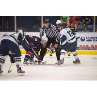 Bloomington Thunder Faces off with Team USA