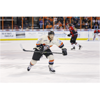 Missouri Mavericks  Defenseman C.J. Ludwig