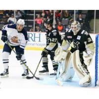 Wheeling Nailers Defend against the Greenville Swamp Rabbits