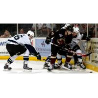 Atlanta Gladiators vs. the Evansville IceMen
