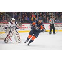 Flint Firebirds vs. the  Windsor Spitfires
