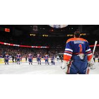 Bakersfield Condors Goaltender Laurent Brossoit