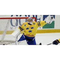 Goaltender Niklas Lundstrom with Sweden