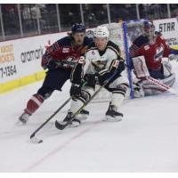 Forward Miles Koules with the Quad City Mallards