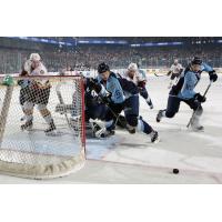 Chicago Wolves Pileup in Front of the Milwaukee Admirals Net