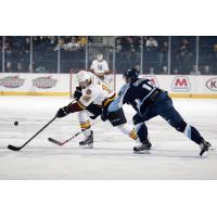 Chicago Wolves C Jeremy Welsh vs. the Milwaukee Admirals