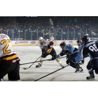 Chicago Wolves C Pat Cannone Handles the Puck vs. the Milwaukee Admirals