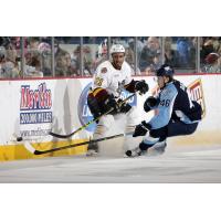 Chicago Wolves D Scooter Vaughan vs. the Milwaukee Admirals