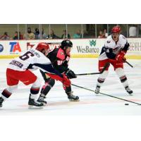 Wheeling Nailers Battle the Elmira Jackals