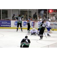 Louisiana IceGators Celebrate a Goal vs. the Pensacola Ice Flyers