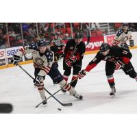 Tri-City Americans Chase down the Puck vs. the Prince George Cougars