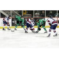 Louisiana IceGators Face off vs. the Macon Mayhem