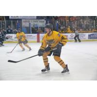 Springfield Jr. Blues in Action