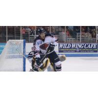South Carolina Stingrays Forward Brett Cameron