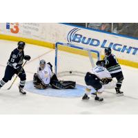 Florida Everblades Test Toledo Walleye Goaltender Jeff Lerg