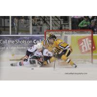Windsor Spitfires Crash the Sarnia Sting Net
