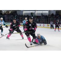 Idaho Steelheads Skate vs. the Alaska Aces