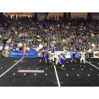 Lehigh Valley Steelhawks vs. the Philadelphia Yellow Jackets
