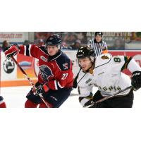 Kitchener Rangers LW Darby Llewellyn vs. the London Knights
