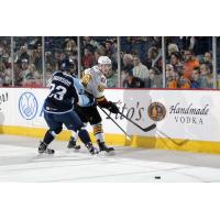 Chicago Wolves RW Danny Kristo against the Boards vs. the Milwaukee Admirals