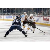 Chicago Wolves RW Jordan Caron vs. the Milwaukee Admirals