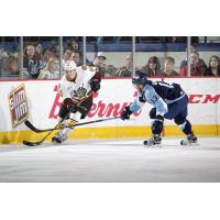Chicago Wolves F Justin Crandall vs. the Milwaukee Admirals