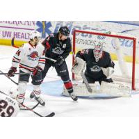 Lake Erie Monsters vs. the Rockford IceHogs