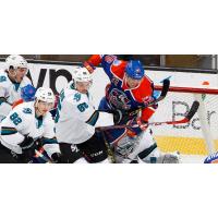 Bakersfield Condors Battle the San Jose Barracuda