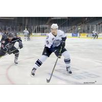 Evansville IceMen Defenseman Spencer Humphries