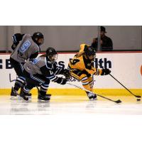Brianna Decker of the Boston Pride Handles the Puck vs. the Buffalo Beauts