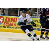 Florida Everblades Forward Maxime St-Cyr