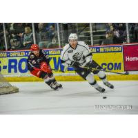 Manchester Monarchs vs. the Elmira Jackals