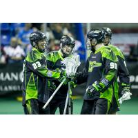 Saskatchewan Rush Celebrate a Goal