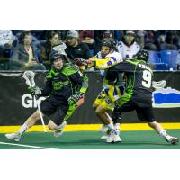 Saskatchewan Rush Battles the Vancouver Stealth