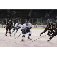 Florida Everblades vs. the Atlanta Gladiators