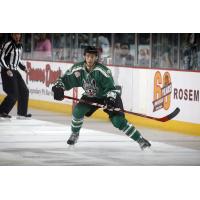 Chicago Wolves Defenseman Petteri Lindbohm