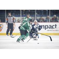 Chicago Wolves F Evan Trupp vs. the Milwaukee Admirals