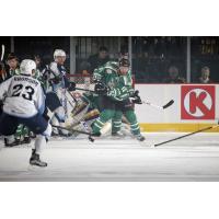 Chicago Wolves C Jeremy Welsh vs. the Milwaukee Admirals