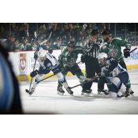Chicago Wolves vs. the Milwaukee Admirals