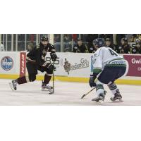 Atlanta Gladiators vs. the Florida Everblades