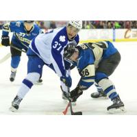 Lake Erie Monsters vs. the Toronto Marlies
