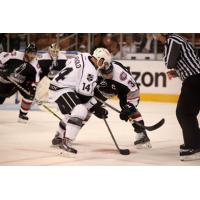 Manchester Monarchs in Action