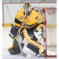 Brandon Wheat Kings Goaltender Jordan Papirny