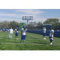 Tampa Bay Storm in Training