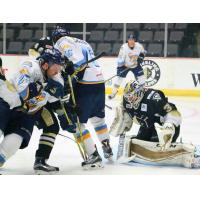 Wheeling Nailers Clash with the Toledo Walleye